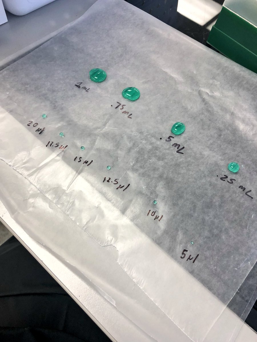 Gatorgabss's tweet photo. Learning some biotechnology labs to use with future students!👩🏽‍🔬🔬#AEC4228 @sarah3larose @A_Thoron  @UFCALS @UFAEC https://t.co/O3JWKSHpdC