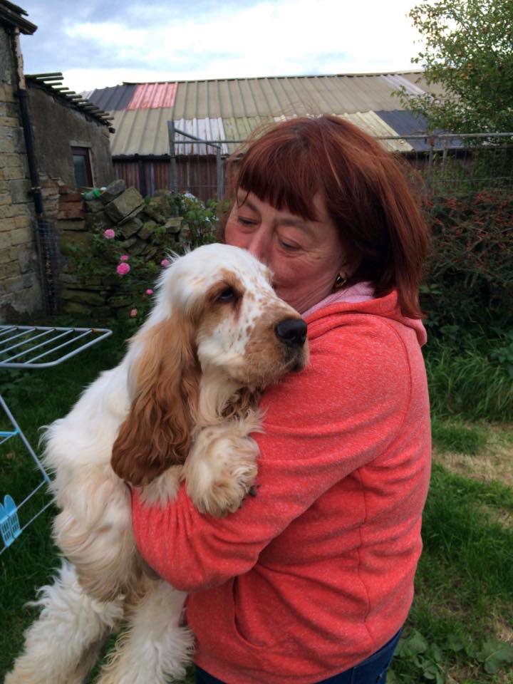 SAMPAuk_'s tweet photo. RIP 💔 Bentley has succumbed to his injuries that were inflicted on him by these wretched thieves, who stole him with five other cocker spaniels from their beds on 1st November 2017  #PetTheft must stop the pain to #pet owners is horrendous Pls sign  https://t.co/GjnNaaqWJq https://t.co/YSComDbQXd