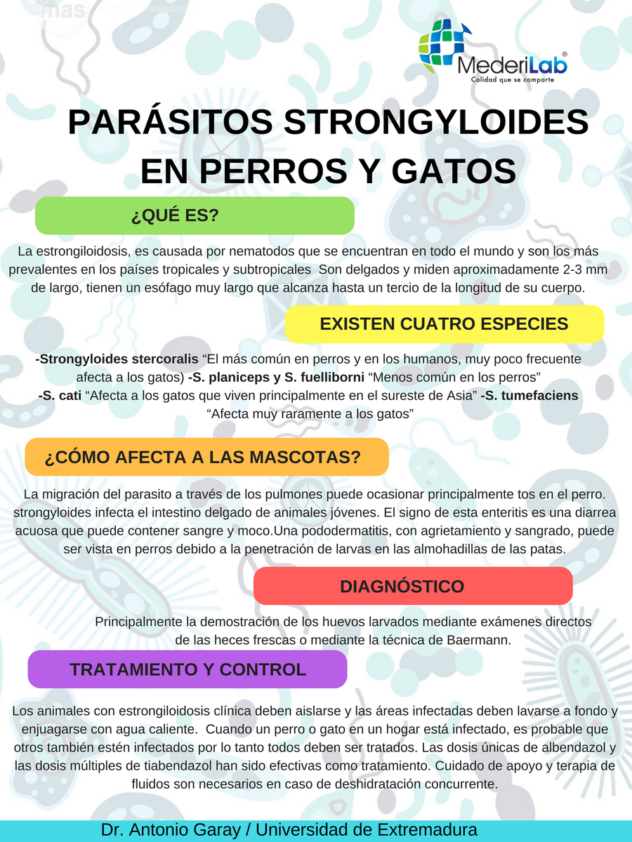 MederiLabMX's tweet photo. https://t.co/r7JxXJm7sw
