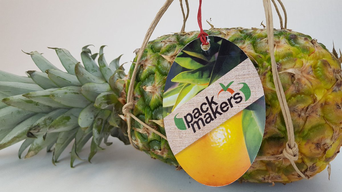 Pack_Makers's tweet photo. La #piña con la malla #PAPERNET totalmente #ECOLÓGICO #BIODEGRADABLE 100% natural...
Se consecuente y #DesnudaLaFruta #MejorSinPlastico
https://t.co/tkg6ncIMff https://t.co/CAiXZC1xrF
