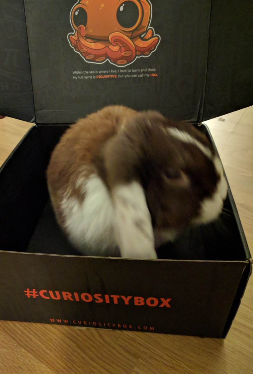 urcadox's tweet photo. Just received my first #TheCuriosityBox \o/ https://t.co/2DVg88ayyC