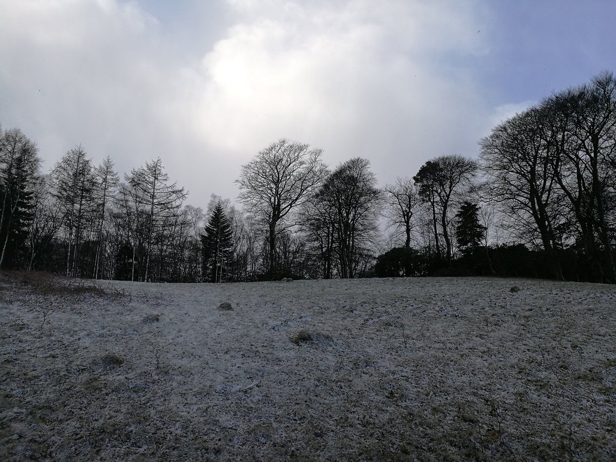#uksnow CA20 1/10 - blizzard went as quick as it came, mountains dusted and trees blasted. Back to cold sunny skies