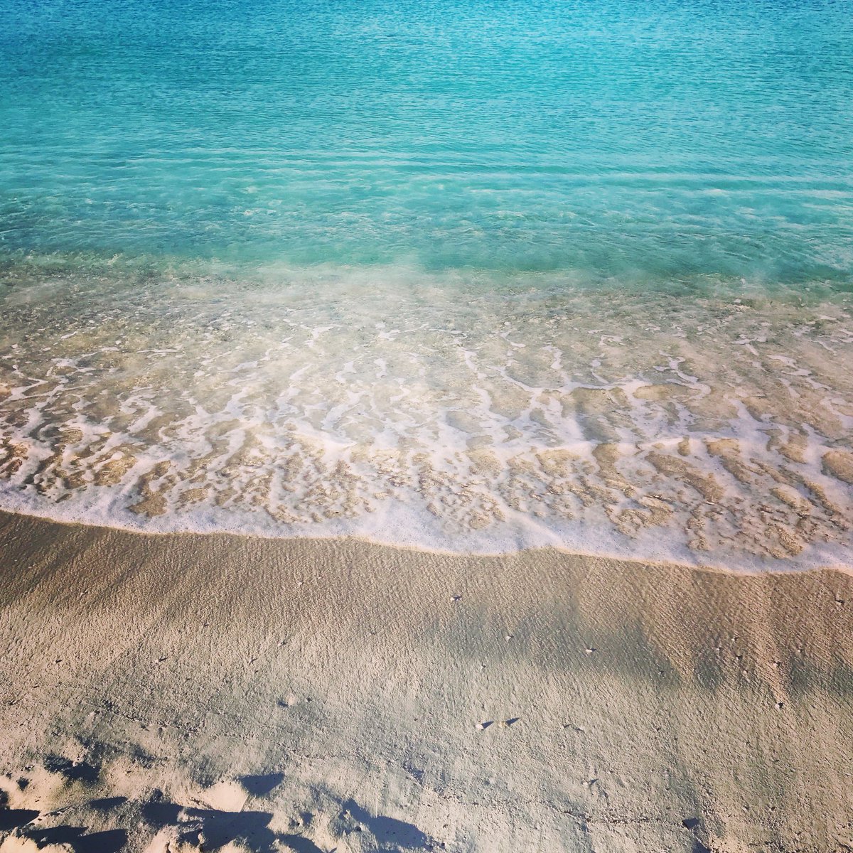 SkinnyLegsVI's tweet photo. Tuesday vibes on #stjohn #usvi #vistillnice &amp; we’re thinking turkey Reuben &amp; margaritas today! #barandgrill #cheers https://t.co/oLUWI0Huyx