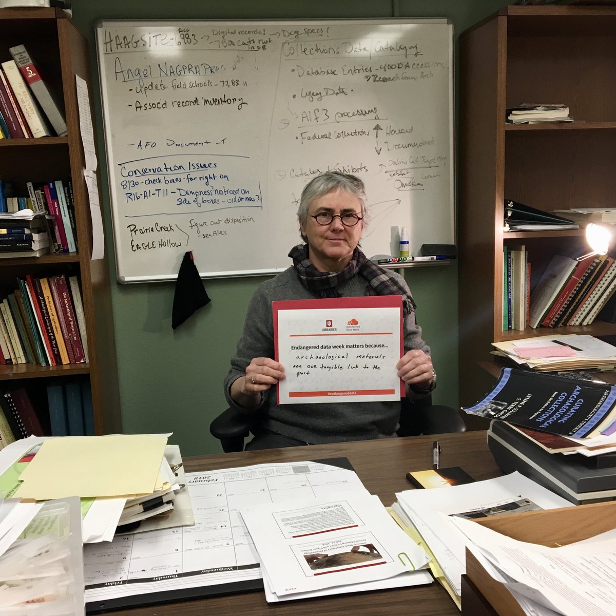 jvwittenberg's tweet image. Melody Pope, Curator of Collections at the @GlennBlackLab -- "#EndangeredData Week matters because archeological materials are our tangible link to the past."