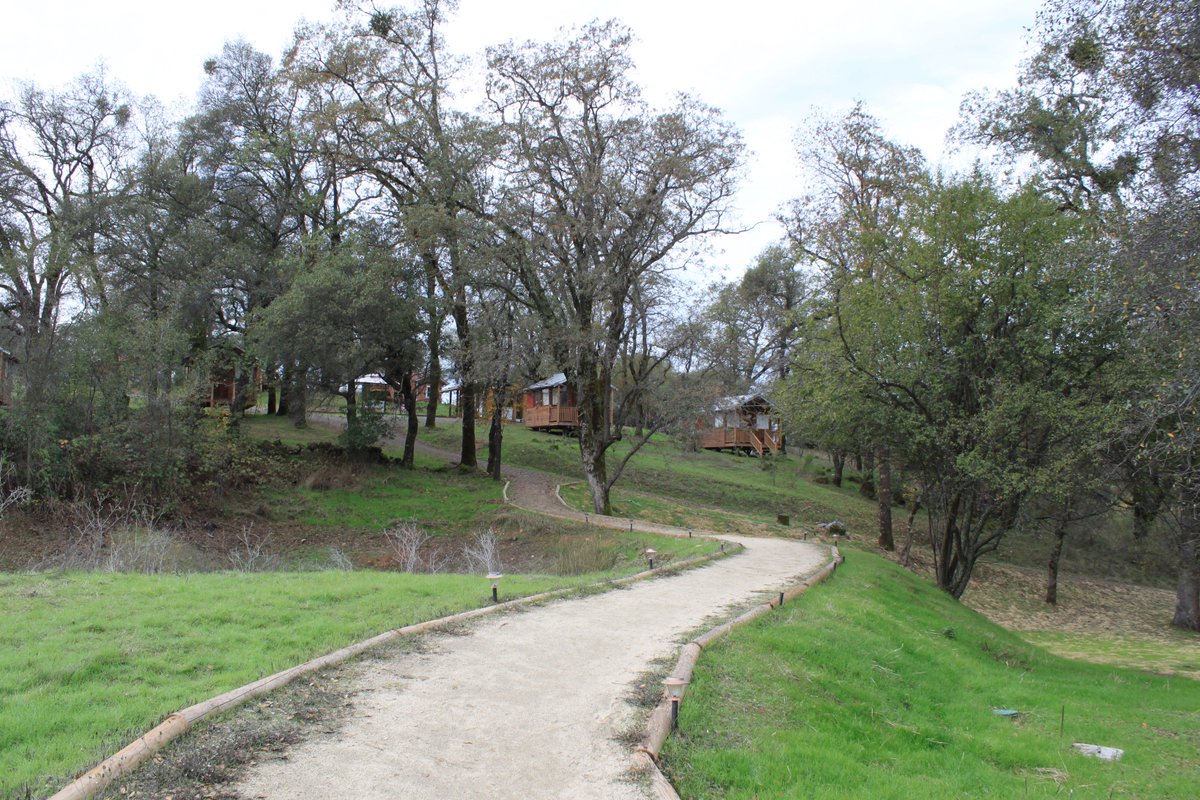 dovie_ruth's tweet image. #TuesdayThoughts #TuesdayMotivation 

Let your hopes, not your hurts, shape your future. --Robert H. Schuller

#Inspiration #InspirationalQuotes #KeepTalkingMH #PositiveMentalAttitude #MentalHealthAwareness #hope #Mentalhealth