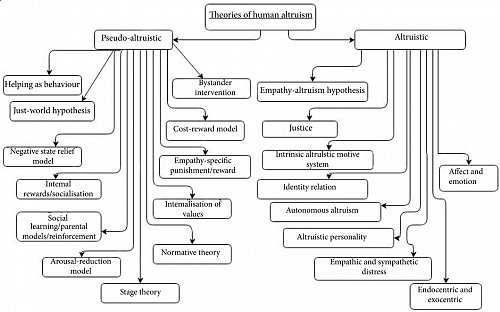 HUMAN ALTRUISM
I didn't know there were so many theories of human altruism.
Here's a systematic review of all of them:
vipoa.org/neuropsychol/1…