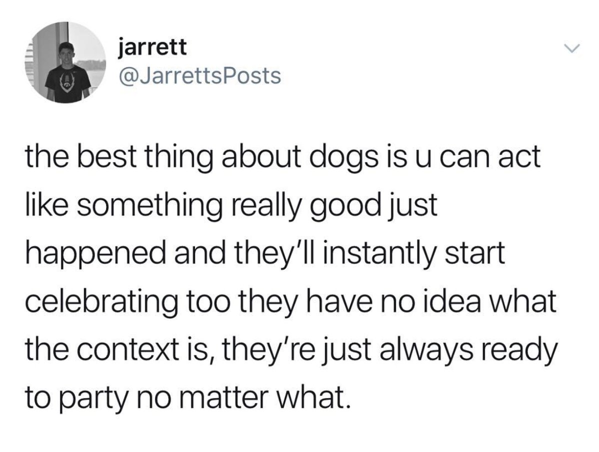 MensHumor's tweet photo. Dogs are simply the best. https://t.co/0SVwyco3VF
