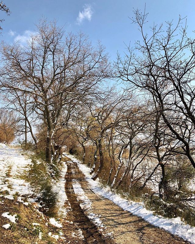 Mammadovemiport's tweet photo. Viale alberato...
#abruzzo
.
.
.
#vialealberato #viale #neve #alberi #sentiero #neve2018 #ripattoni #bellante #teramo #colline #collineteramane #inverno #inverno2018 #freddo #freddo❄ #freddogelido #aspettandolaprimavera  #tiportoinabruzzo #mammadovem… https://t.co/l2CZY1cxhv https://t.co/PPjLLUWhKZ