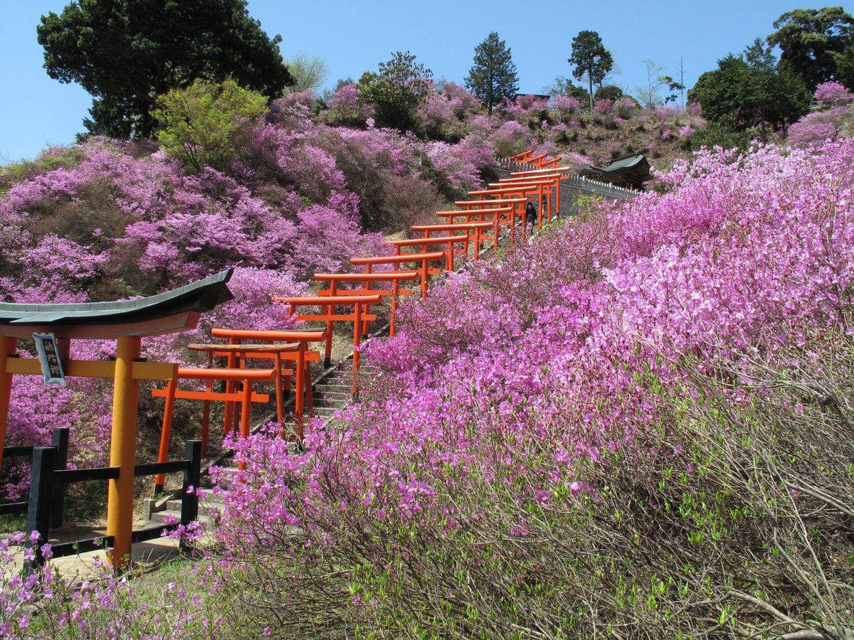 Voyapon_es's tweet photo. #Amanohashidate se encuentra en la costa de la prefectura de #Kioto, y no es sólo famoso por ser uno de los 'tres mejores paisajes de #Japón', sino también por ser un importantísimo puerto marítimo.
#NihonSankei #Miyazu #日本三景 https://t.co/BFW585X50j