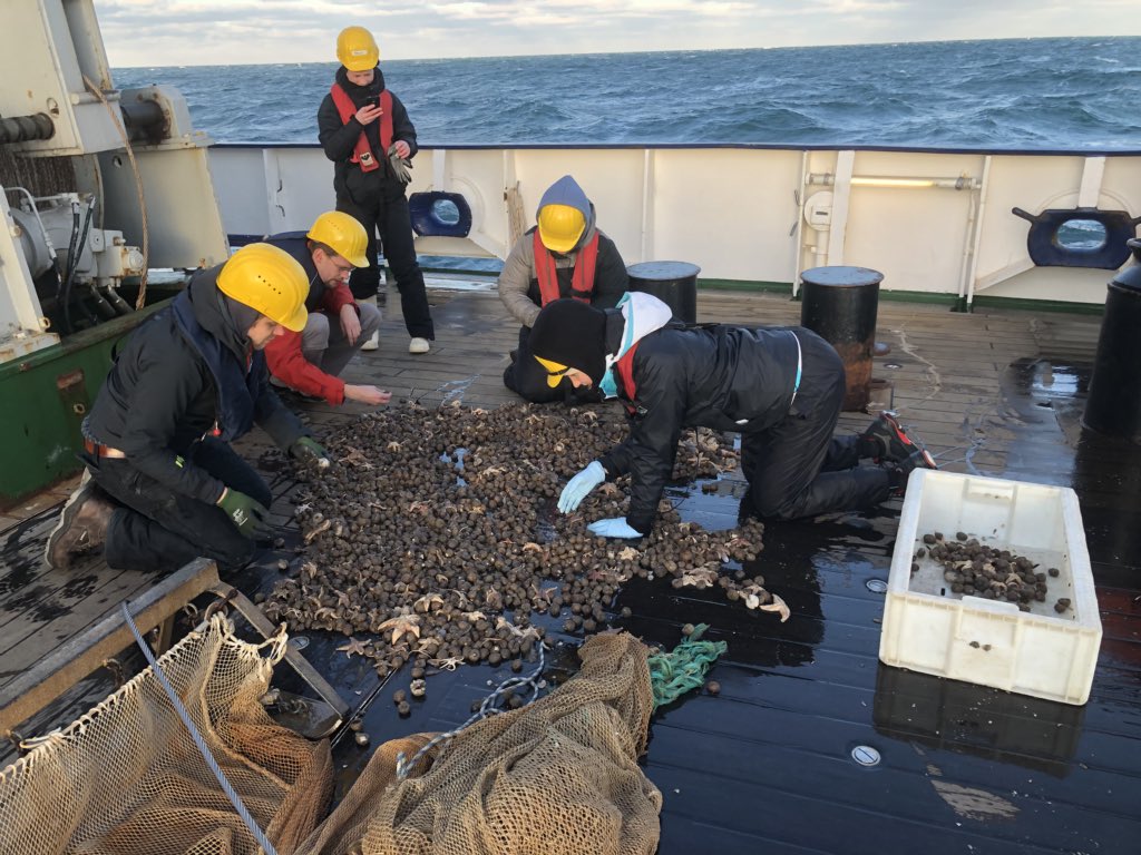 Want to know about our recent research aboard #RVHeincke? Have a look at our blog! #macroplastic #marinescience #citizenscience #NorthSea <a href="/ICBM_uol/">ICBM_uol | @icbm-uol.bsky.social</a> icbm-auf-see.uni-oldenburg.de