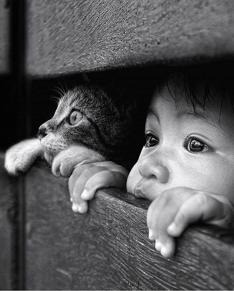 We are all one.

Please act accordingly.