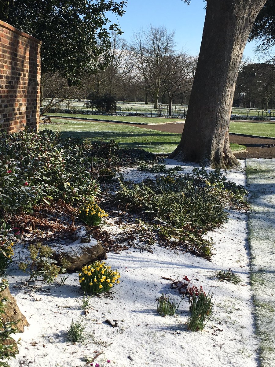 GardenersCottageCafe tweet media