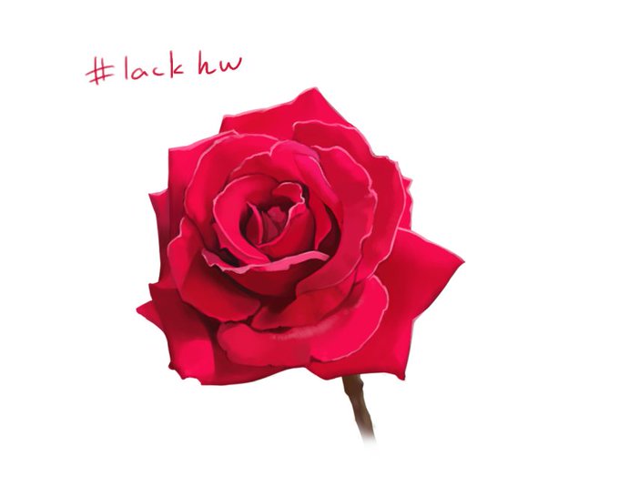 「红玫瑰 シンプルな背景」のTwitter画像/イラスト(古い順)