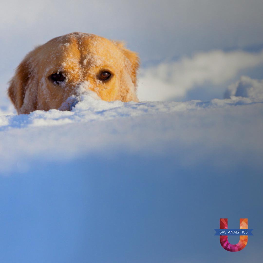 SASsoftwareUKI's tweet photo. Hey students! Melt away those wintery blues with an easy 5-day #data challenge! Starting soon, you could be in with the chance to win daily prizes and be part of a grand finale prize draw. Stay tuned… #UEChallenge https://t.co/9ul14lu0I4