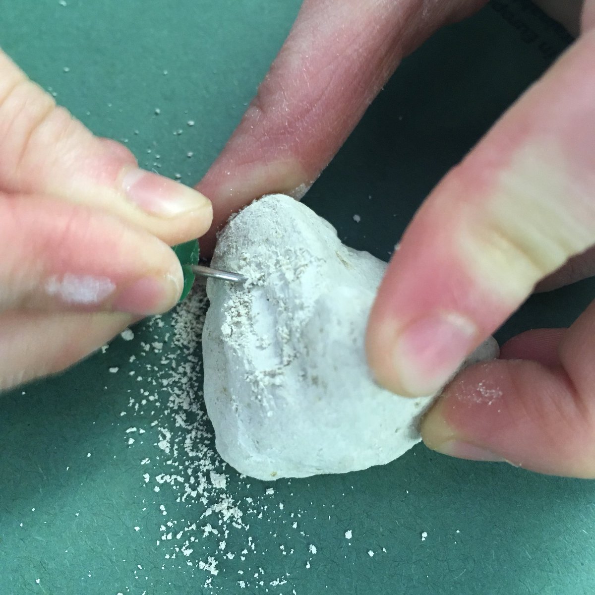 B&H Prep Science tweet media