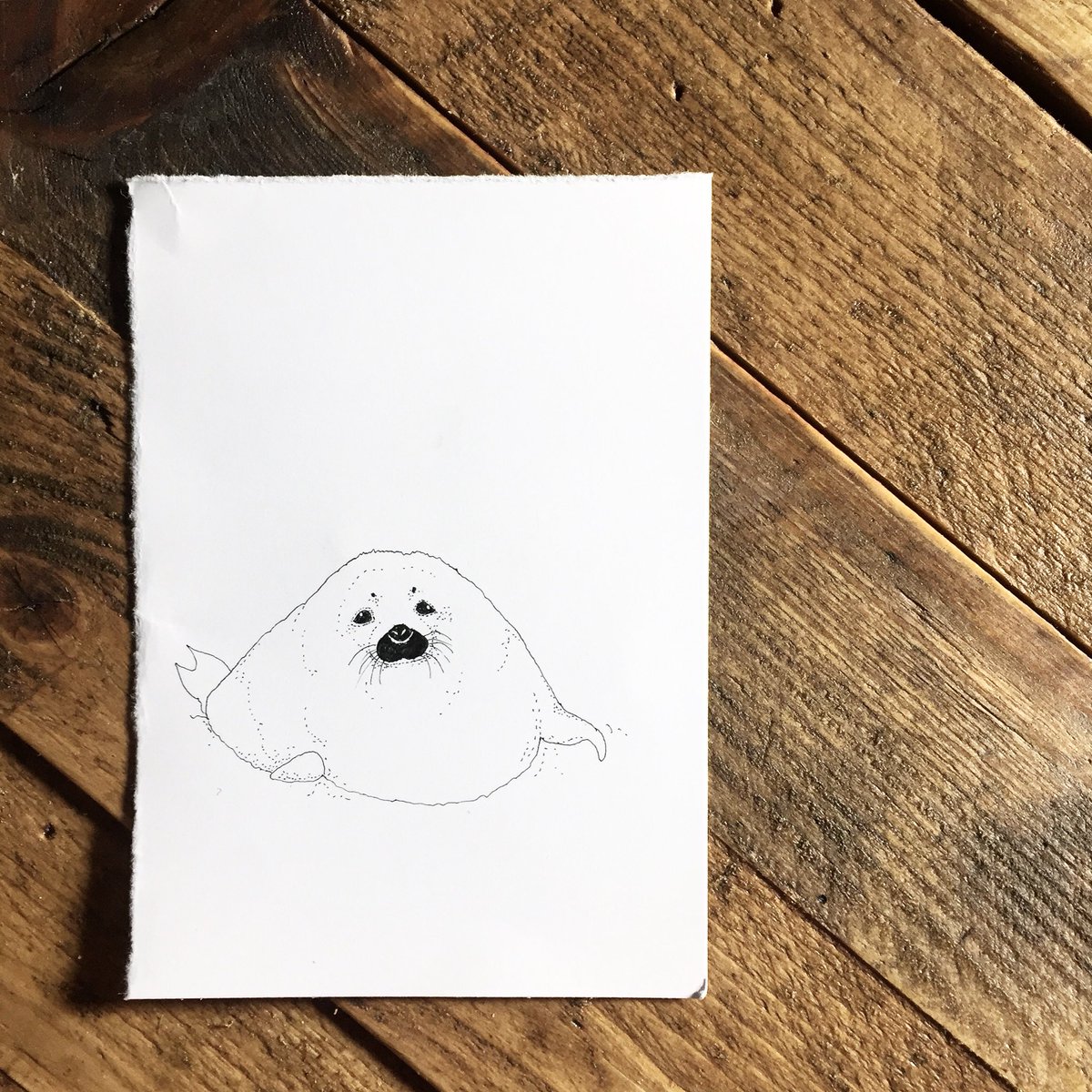 ItsBalderston's tweet photo. WHAT IS IT THOUGH PAL? #drawingfail 😂
.
A smug Harp Seal. Which I’m sure we can all see now...
.
#illustration #harpseal #seal #wildlife #nature #flubber #characterdesign #thatface #weather #wrappedup #whosyourmate https://t.co/qILXwAJAZF