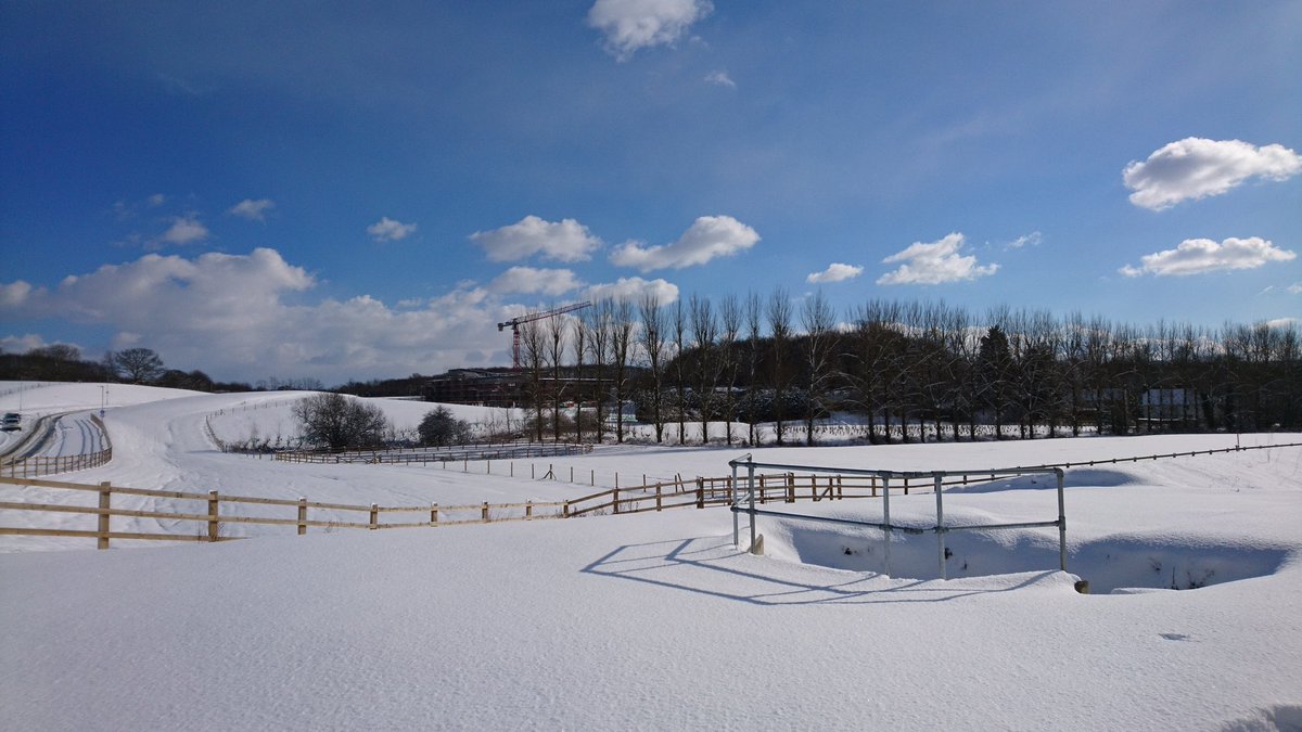 bt_adams's tweet photo. @cygnethealth #Maidstone after this morning's #snowy weather https://t.co/5QfcW7yMeq