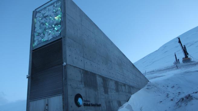 TRF's tweet photo. There's a vault in the Arctic keeping seed species safe in case of  conflict or disaster but as it turns 10 it faces 'unprecedented' challenges from #ClimateChange https://t.co/mHs2DZ8ojX @FAOKnowledge  @CropTrust @ICARDA_CGIAR #SeedVault10 | @thinink reports https://t.co/hcBdRh6sE0
