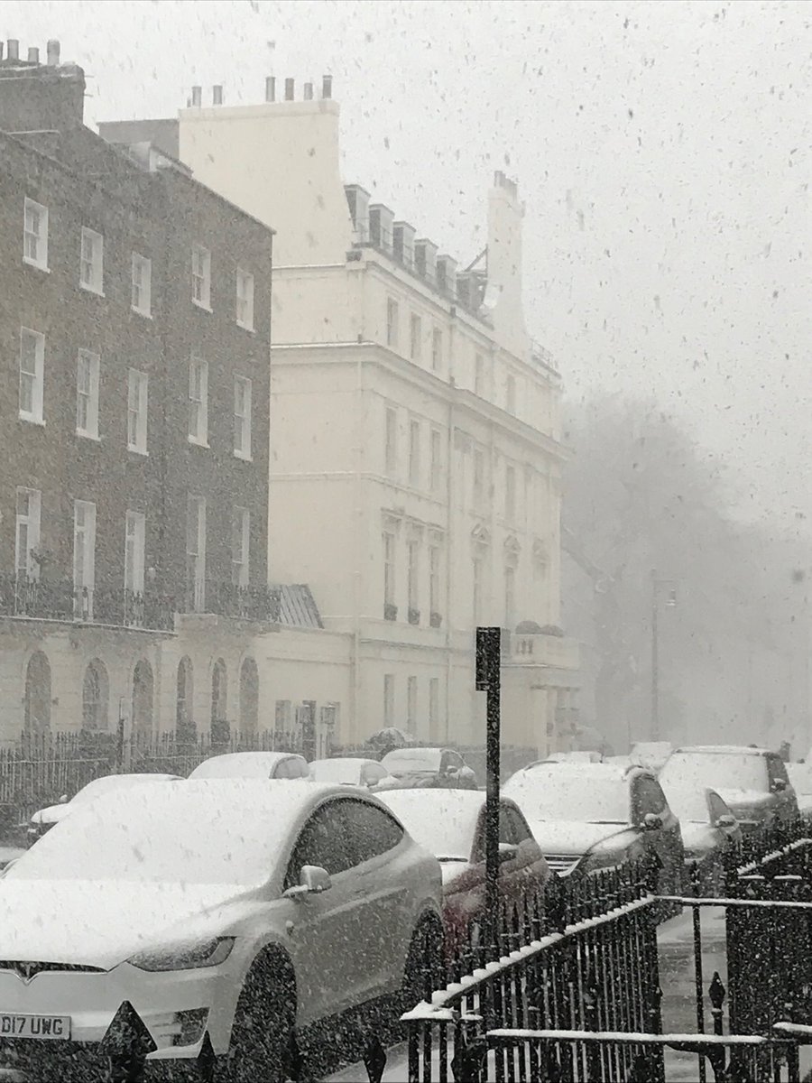 Ayrton Wylie tweet media