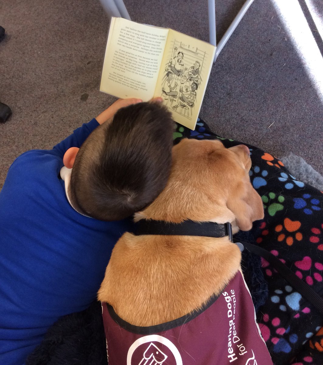 SigningStitcher's tweet image. Reach for the stars reading challenge... another challenge done! Read to a pet or animal @PrincessZaraBPS enjoy some quiet time