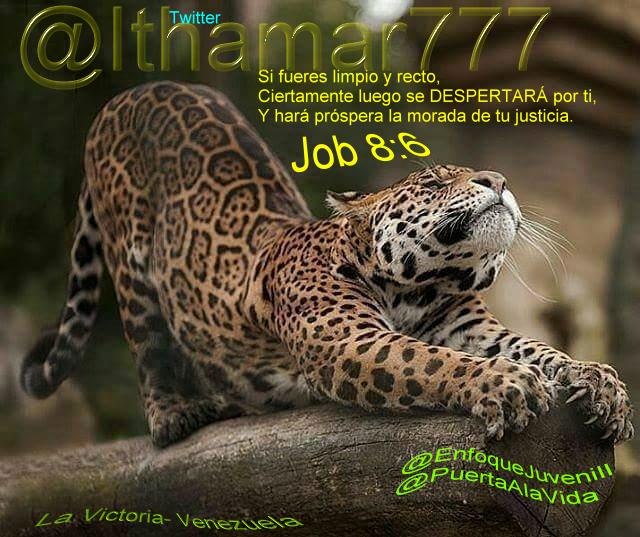 ITHAMAR777's tweet photo. Si fueres limpio y recto, 
Ciertamente luego se DESPERTARÁ por ti, 
Y hará próspera la morada de tu justicia. Job 8:6 @ENFOQUEJUVENILL @PUERTAaLAVIDA @NickGCP @raycarrizales @ENCUENTRONEW @REYdeGLORIA7 @COMEBIBLIA https://t.co/TNN8AsYw5H