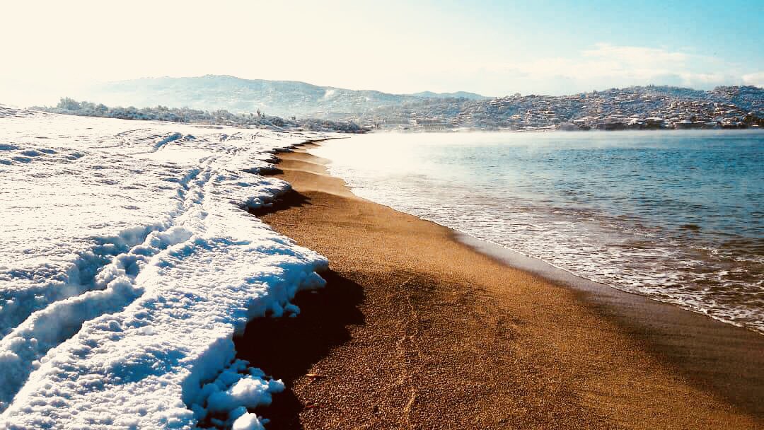 CelineCaddeo's tweet photo. @mycorsica @officeporticcio #Snowing #GratitudeIsTheAttitude https://t.co/lVzoiFVG6e