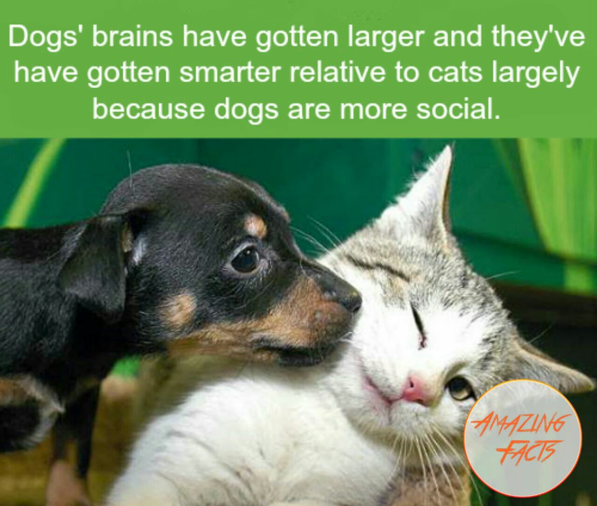 factamazes's tweet photo. https://t.co/N6u7Vg938a
