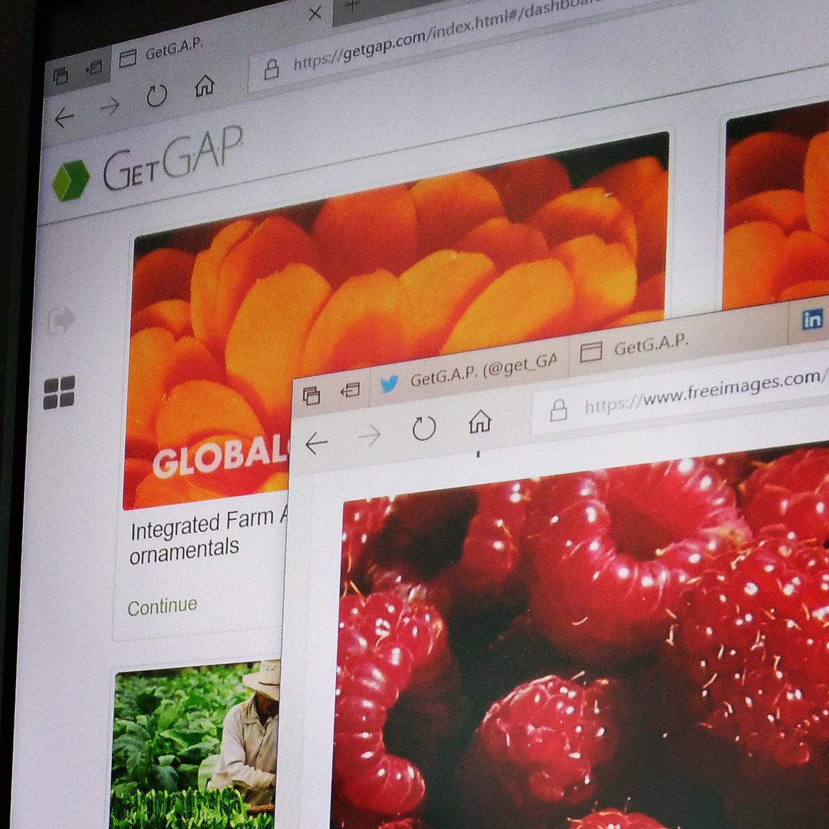 get_GAP's tweet photo. GetG.A.P. is not just an app, it`s a real help in your certification procedures #Agribusiness #Certification #GLOBALGAP #GoodAgriculturalPractice #GetGAP https://t.co/x0TPtVMvKc