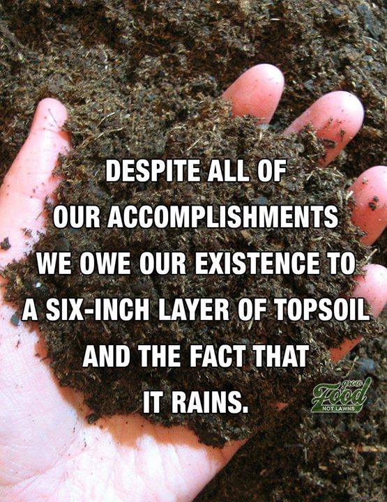 CannaWorld (@cannaworldsite) on Twitter photo 