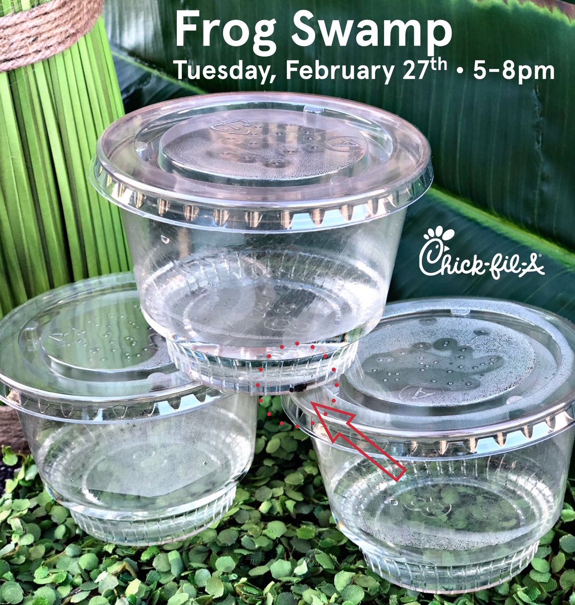 *ribbit ribbit* Frog Swamp is tonight! Join us from 5-pm and adopt your own tiny tad pole! *First come, first serve. Only at Chick-fil-A Winder*