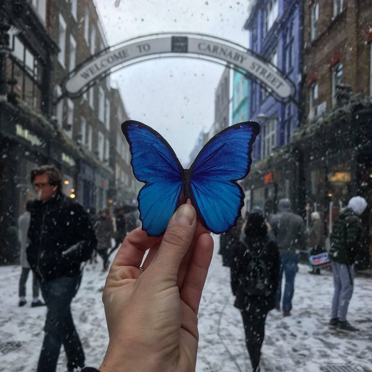 MariaAris17's tweet photo. Welcome to Carnaby Street. #visitlondon #londontourist #happymaro #butterfliesontour #carnabystreet #london #lovelondon https://t.co/nNenzocdg5