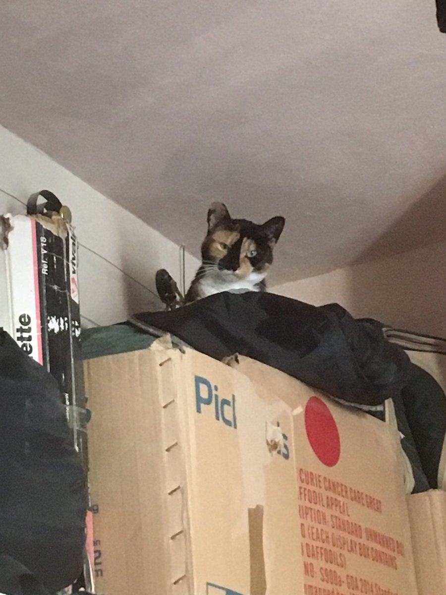 Iain Stirling tweet media