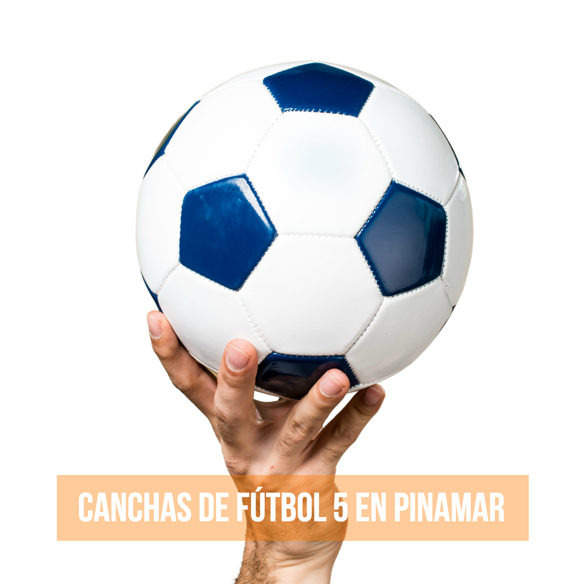 pinamarpark's tweet photo. ¡Reservá tu cancha! - Fútbol para todas las edades
Llamá al (02254) 485800 o mandanos un mensaje por What´s App al (02267) 442273. 
Estamos en Ruta 11 KM 398.5 #Pinamar https://t.co/FsWLORp6H3