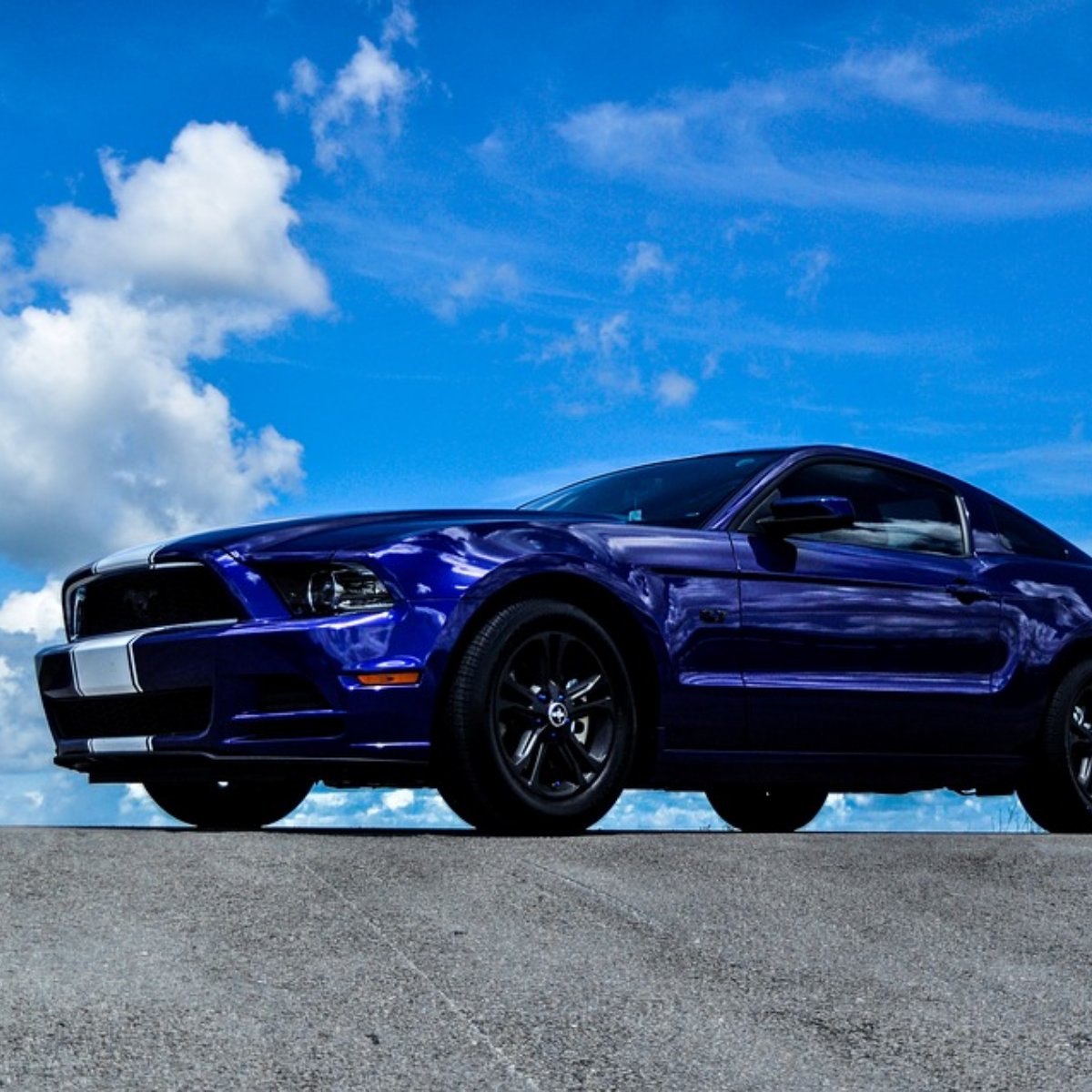 There's nothing quite like seeing a Mustang in its natural habitat.