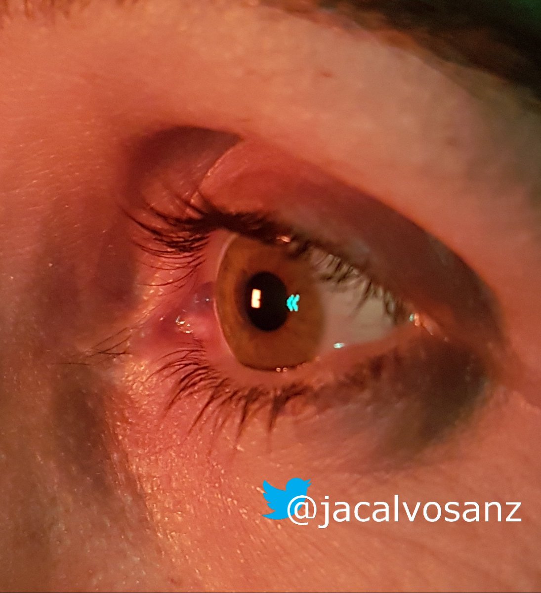 jacalvosanz's tweet photo. El brillo en los ojos aporta mucha información.
#javal https://t.co/R9WoUydd3v