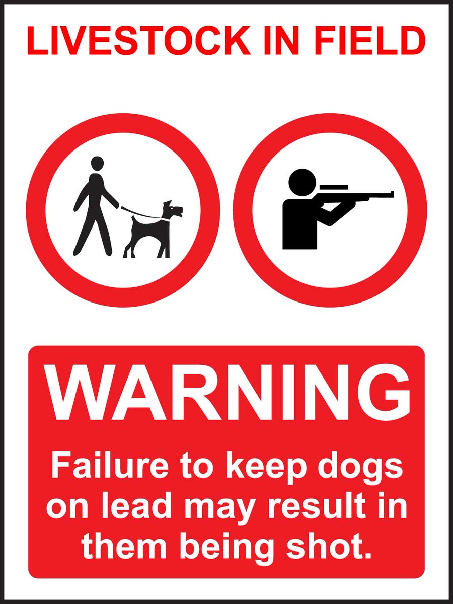 UKEventShare's tweet photo. Protect #sheep against #sheepattack #ruralcrime #farming. Keep dogs and livestock safe by providing informative #signage https://t.co/7Igzr1IJ3F https://t.co/GcExmfHESH