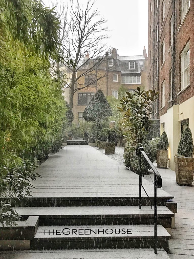 greenhouse27a's tweet photo. ⛄️ https://t.co/9caM5d2QYb