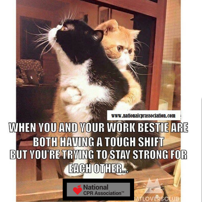 national_CPR's tweet photo. We're both covered with blood, sweat, and tears, most of which don’t even belong to us, but we’ll be ok pal
#nationalcprassociation #rn #np #rt #md #murse #nurse #nurselife #nursejokes #nursehumor #nurseknowledge #nursetruths #hospitallife #scrublife #medsurg #nightnurse https://t.co/nzASKEmVy4