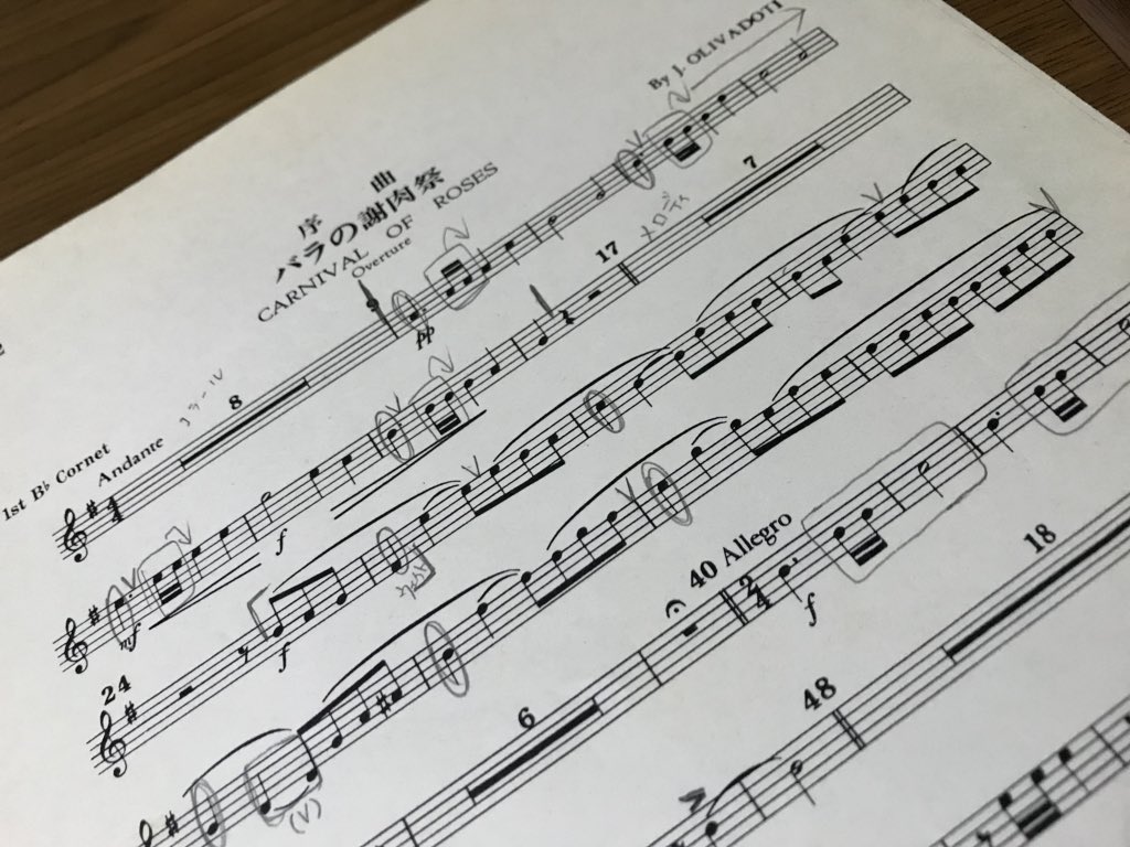 バラの謝肉祭 なる懐かしいもんが出てきた。 指番号書いてないあたり