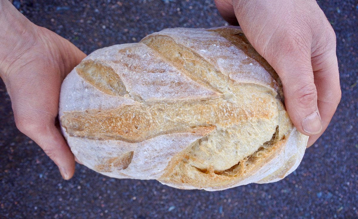 IndieFude's tweet photo. Ann &amp; Ken from Go Yeast will be joining the team Indie Füde from 12-2pm on Saturday the 3rd of March for plenty of bread based excitement to celebrate #RealBreadWeek! 🕺🏼💃🏼 Be sure to pop by for samples, sourdough babies -and plenty of chat 😄 https://t.co/rmG1nQNVWJ