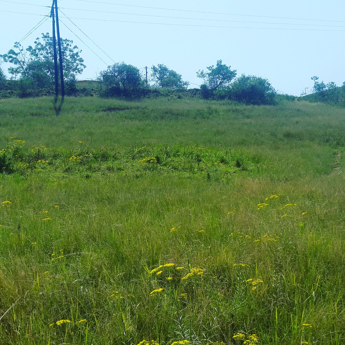 DrTMazibuko's tweet photo. Finally the land is ready for @medicalmission2019 https://t.co/1cRaCyubGa