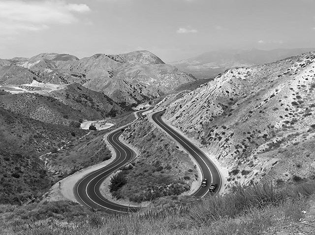 Switchback_CC's tweet image. Big Sweeper
... ...
📸: #switchbackhunter @shanewyorke
... ...
#switchbackcc | #switchbackhunting ift.tt/2CN6eus