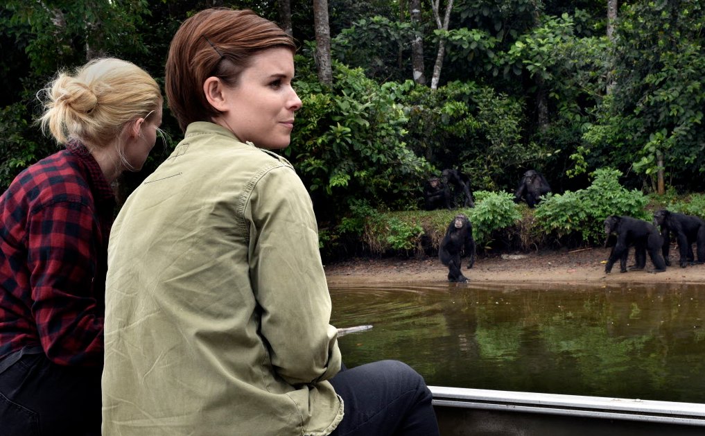 Humane World for Animals tweet media