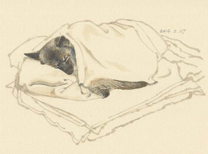 2014.2.27 