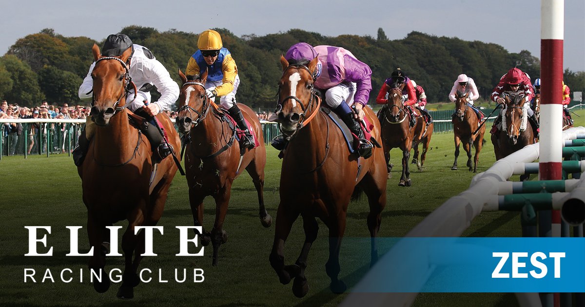 Elite Racing Club (@eliteracingclub) | Twitter