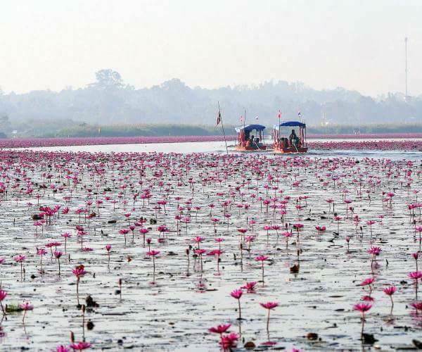 2d356b6465bf4fb's tweet image. Hikaye mutlu sonla bitmedi diye kitap hikayeye küsmez.