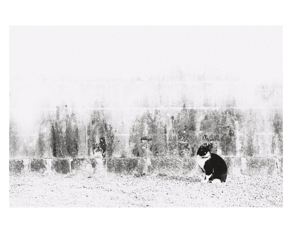 yukimarvellous's tweet photo. #photography https://t.co/PKMAp23GqU