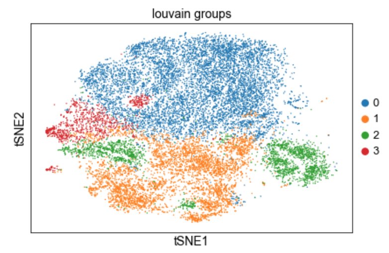 daweonline's tweet image. scRNA is so fun! I can get tropical fishes from my data #scanpy #colors