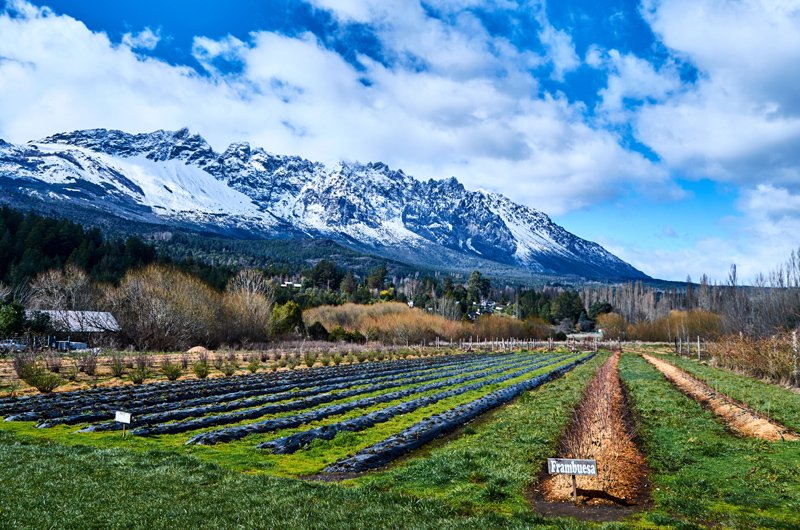 IICA_USA's tweet photo. International experts will share key developments in sustainable agriculture and food security in the face of climate change. This will take place for the first time in Latin America @AgMIPnews 7th global workshop co-organized by @IICAnews. More: https://t.co/6RzMjVXQFM #AgMIP7 https://t.co/NgkXXVbCY9