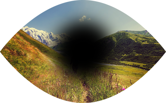 Pcapp_I_am's tweet photo. This is a cool simulator of what you'd see if you developed common eye diseases, and a good reminder of the importance of regular eye exams and vision benefits. https://t.co/j08Defz75z #EyeMed https://t.co/GyL6Z2xEMo